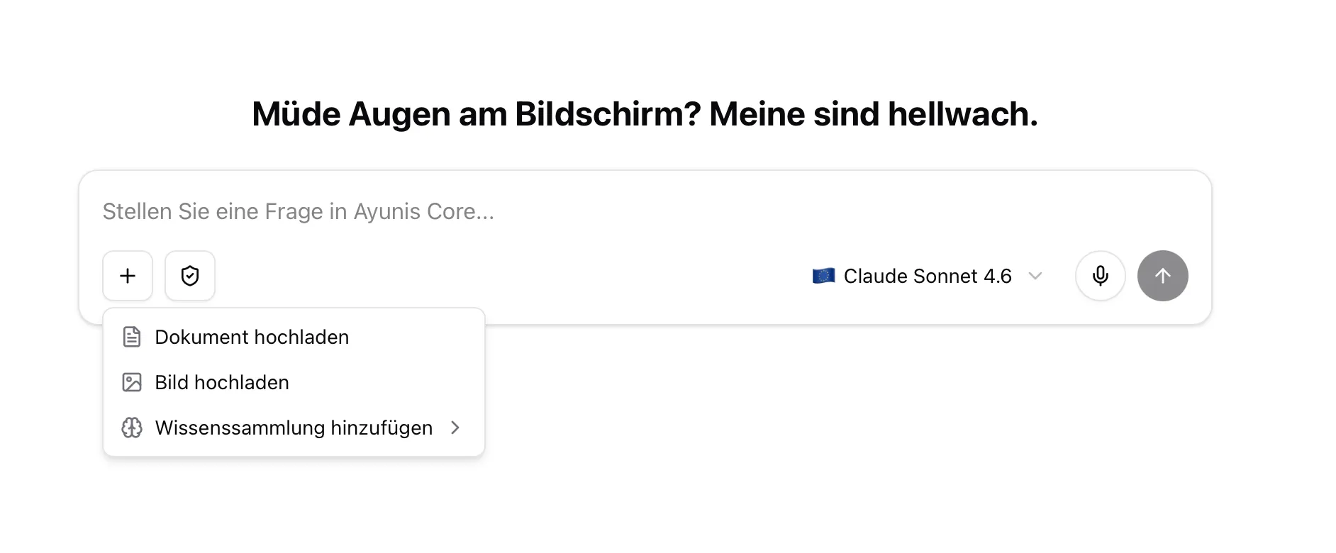 Das Eingabefeld mit dem Plus-Symbol und einem bereits angehängten Dokument.